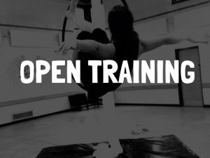 leeds Circus skills & performers (aerial, acrobalance, hoop, juggling)