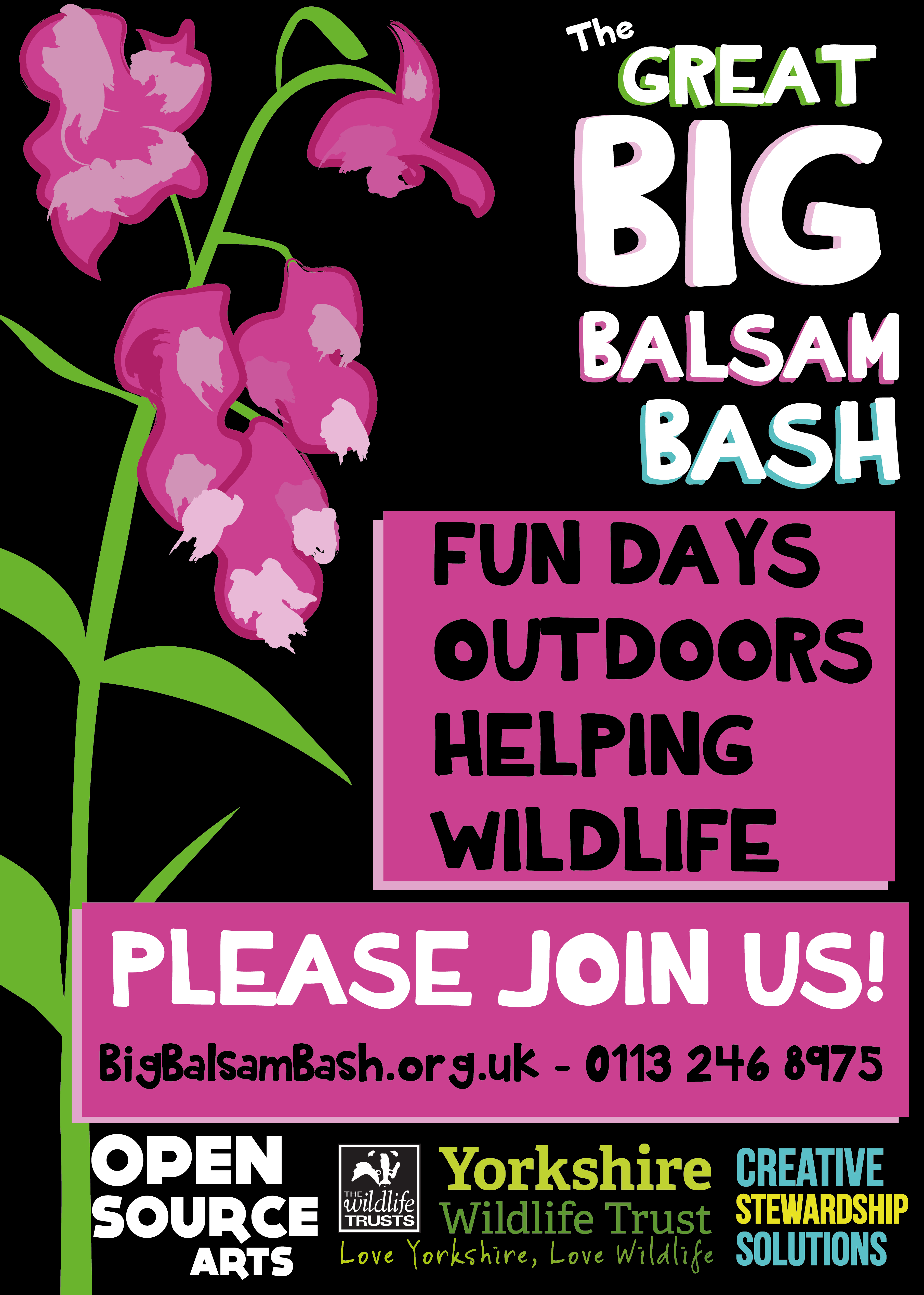 plants river clean up environment cleanup litter climate sustainability balsam invasive teamwork community leeds yorkshire canal aire westyorkshire nature conservation